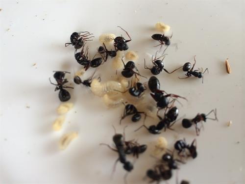 Gallery Image IMG_2683.JPG