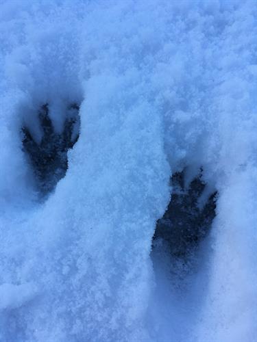 Gallery Image IMG_6613.JPG