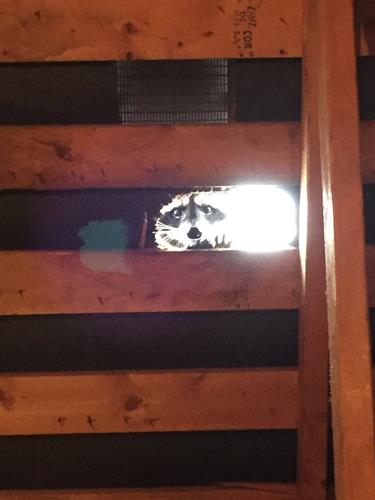 Gallery Image IMG_7241.JPG