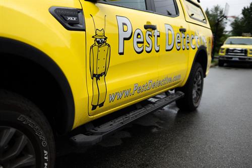 Gallery Image coquitlam-pest-detective.jpg.jpeg
