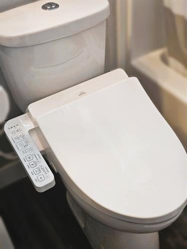 Gallery Image bidet_2(1).jpg