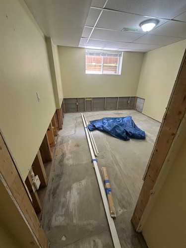 Basement Renovation Before 