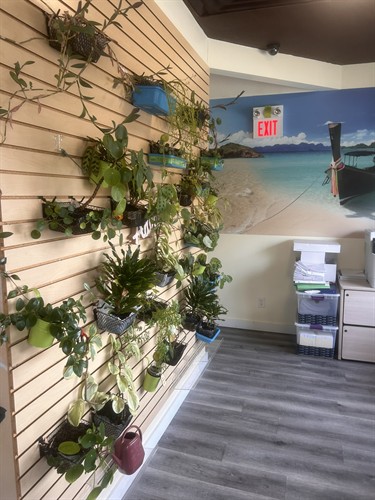 Gallery Image IMG_8092.JPEG