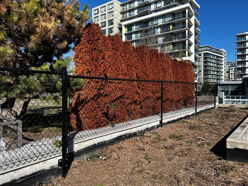 Chain Link Fence Installation