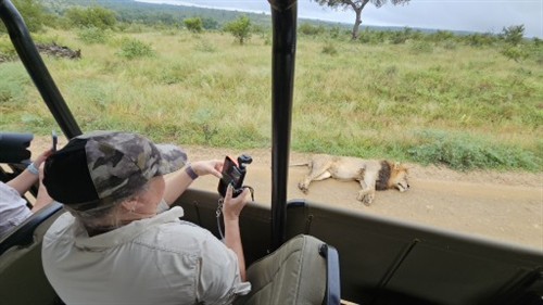     Safari Experience | Kruger National Park, South Africa | 2026