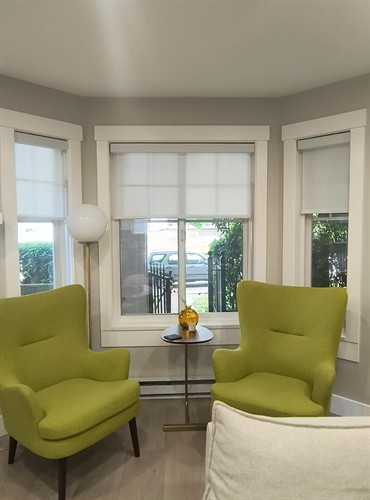 Roller Shades