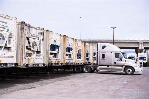 Plett Trucking Fleet