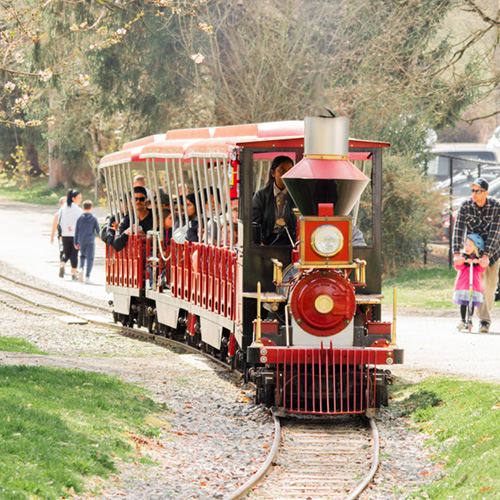 A different way to experience the zoo. Take a 15 minute long tour around the zoo aboard our Safari Express.