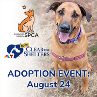 Clear the Shelters Adoption Event