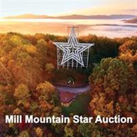 Kiwanis Mill Mountain Star Auction