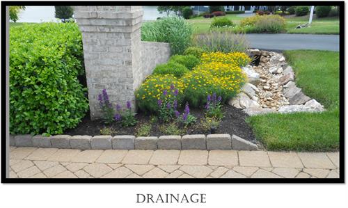 Gallery Image drainage_for_RRCC.jpg