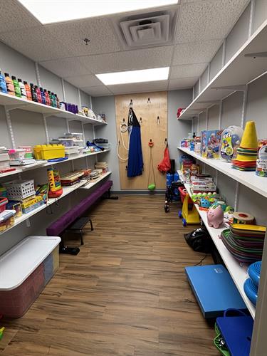 Toy Closet- lots of fun choices to develop those fine and gross motor skills