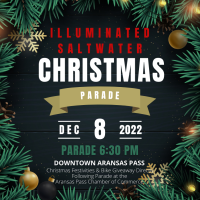 Illuminated Saltwater Christmas Parade