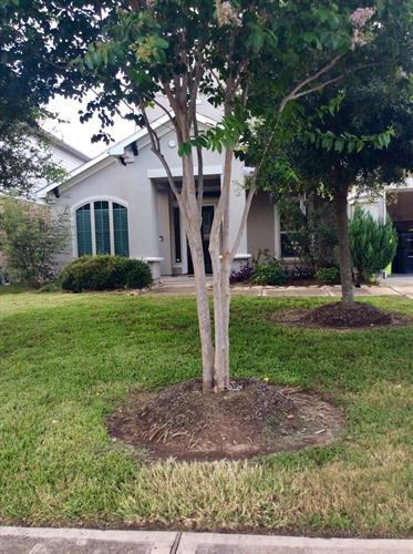 New Listing. 127 Round Lake Drive Rosenberg TX 77469 New Listing. 127 Round Lake Drive Rosenberg TX 77469