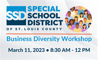 Business Diversity Workshop