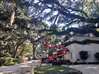 Chris Francis Tree Care, LLC - Daphne