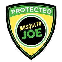 Mosquito Joe