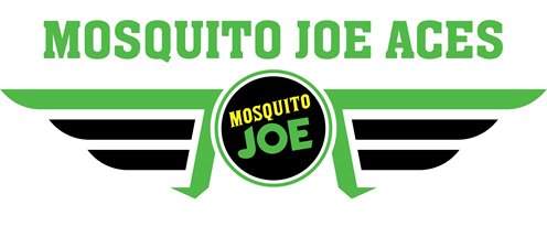 Mosquito Joe