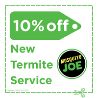 Mosquito Joe - Daphne