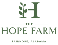 The Wine Educational Series Cabernets at Christmas