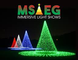 Gallery Image mseg_immersive_light_shows.jpg