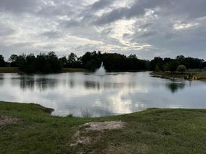 Southeast Land and Lake LLC