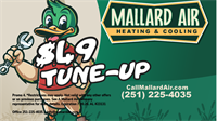 Mallard Air