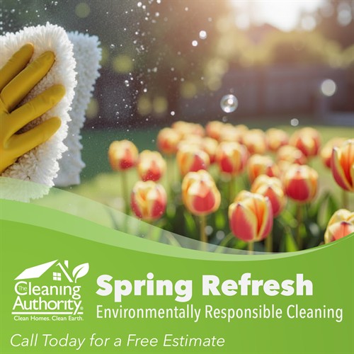 Spring is for fresh starts, open windows, and one less thing on your to-do list.?? We are proud to use professional products from Ecolab as part of an environmentally responsible approach to cleaning, so you can feel good about the care that goes into your home. 