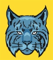 Wildcat Travel Group