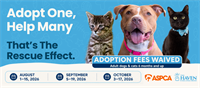 September ASPCA Rescue Effect Adoption Promotion at The Haven