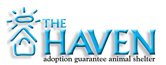 The Haven