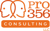 Pro356 Consulting, LLC