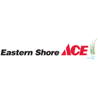 Eastern Shore Ace Hardware in Daphne Wins The Pinnacle Performance Award by Ace Hardware 