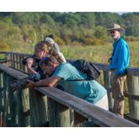 ANNUAL ALABAMA COASTAL BIRDFEST & NATURE EXPO CELEBRATES ITS 20TH ANNIVERSARY