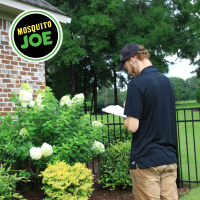 Mosquito Joe of Gulf Coast Alabama Launches Comprehensive Termite Control Services
