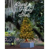 3rd Annual Grand Holiday Stroll