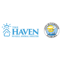 Haven for Animals and City of Fairhope Animal Shelter Recognized for Maintaining No-Kill in 2025