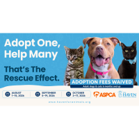 The Haven Joins the ASPCA’s Rescue Effect Campaign, Offers Fee-Waived Adoptions