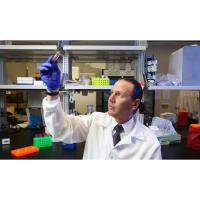 USA Scientist Receives $2.3 Million Grant Renewal for Flea Pathogen Research 