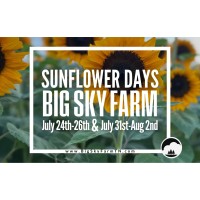 Sunflower Days