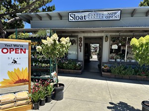 Sloat Garden Center
