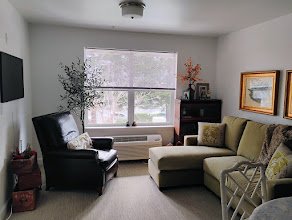 Downsized Apartment Living Room