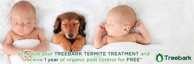 Treebark Termite and Pest Control Treebark Termite and Pest Control