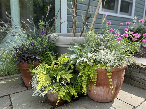 Gallery Image IMG_0857.JPEG