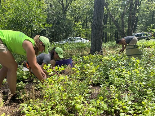 Gallery Image IMG_0927.JPEG