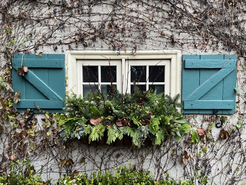 Gallery Image IMG_3363.JPEG