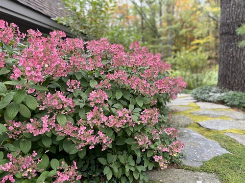 Gallery Image IMG_4105.JPEG