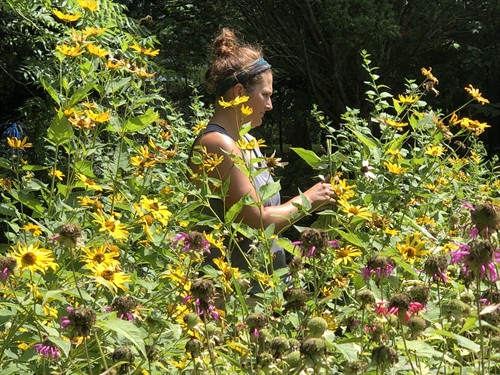 Gallery Image IMG_4852.JPEG