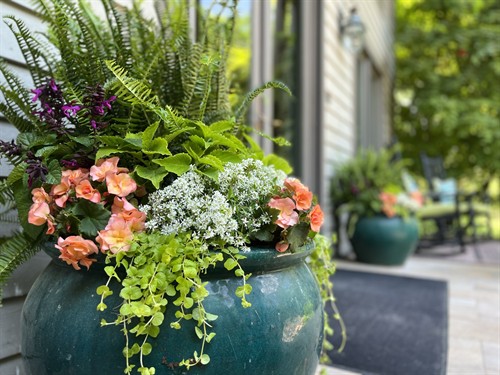 Gallery Image IMG_9545.JPEG