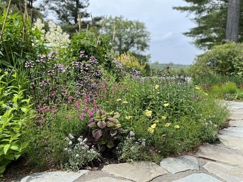 Gallery Image IMG_9802.JPEG